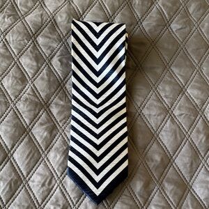Vittorio Farina Navy and White Chevron Striped Men's Tie Polyester
